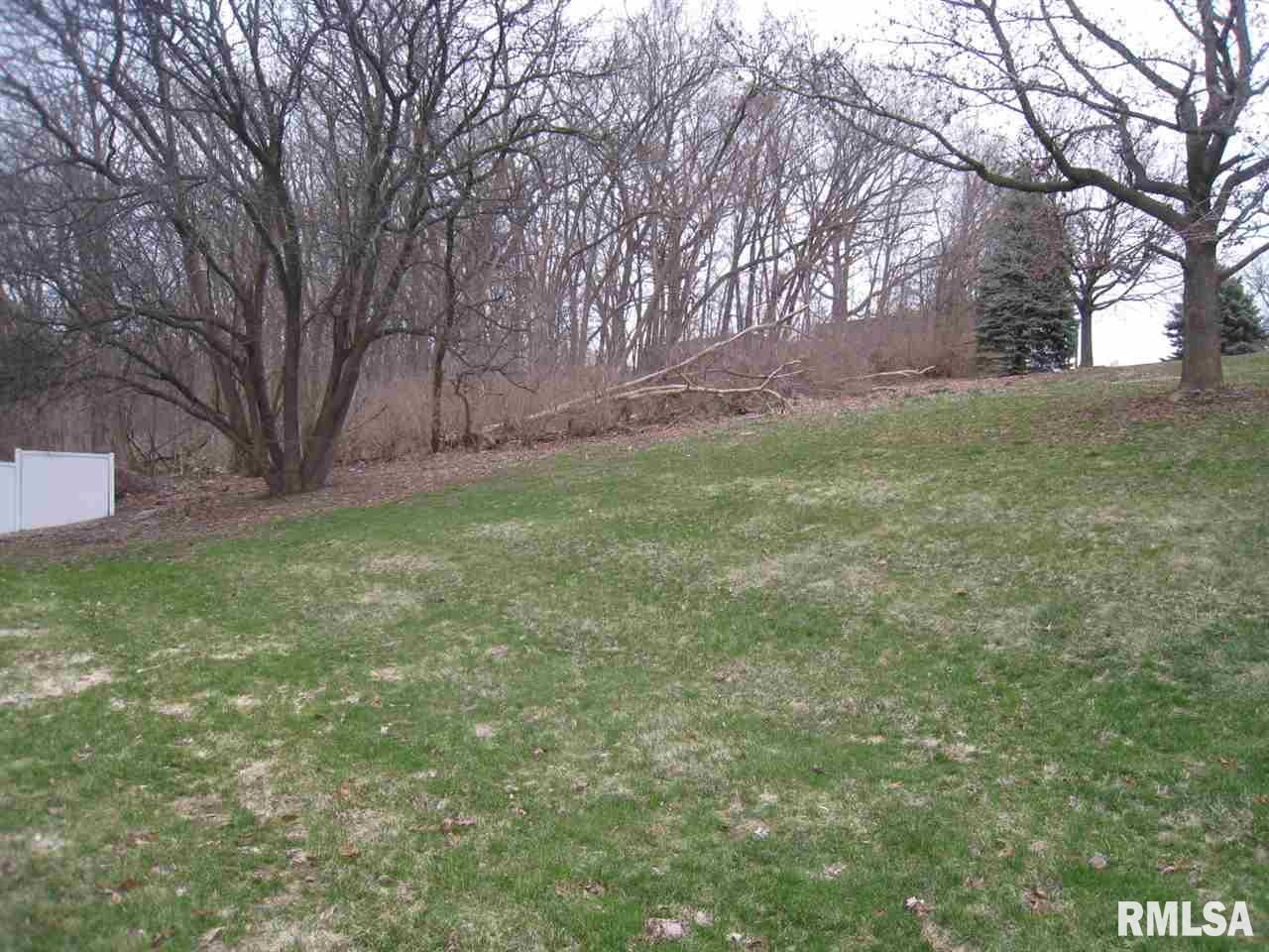 3705 35th Street Moline, IL 61265 - Photo 6 of 6 a backyard of a house with lots of green space