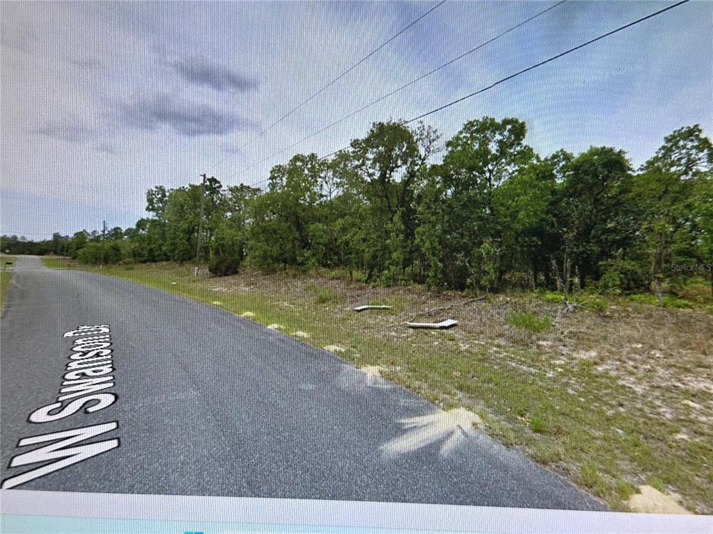 2466 West Swanson Drive Citrus Springs, FL 34434 - Photo 5 of 19 a view of a lake with a yard