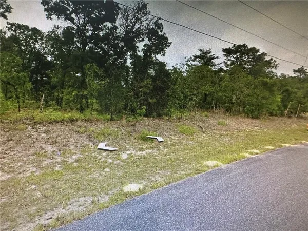 a view of a yard with a tree