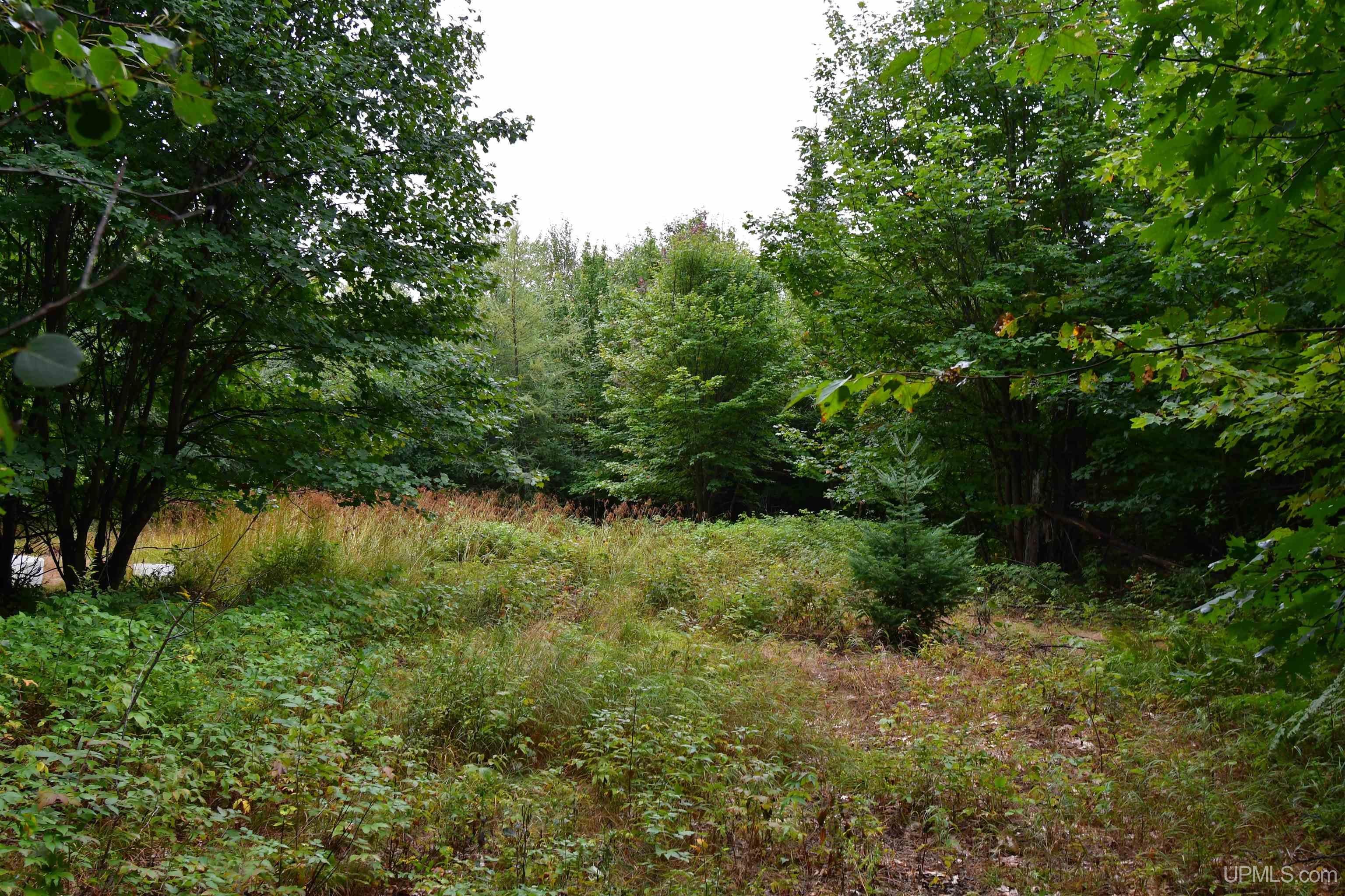 23 East 23 Mile Road Pickford, MI 49774 - Photo 45 of 58 Gallery Image 45