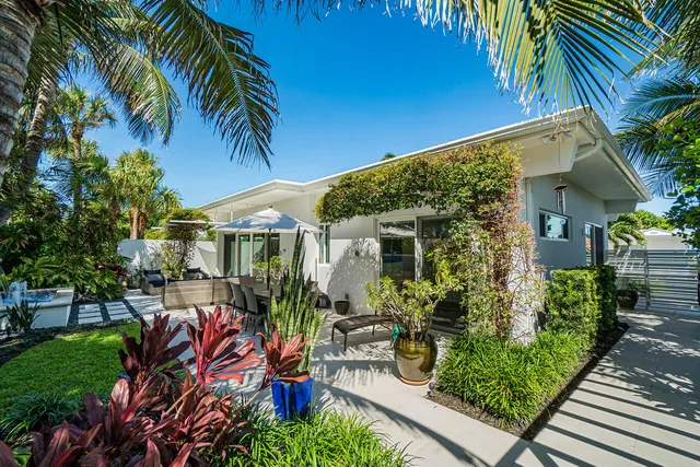 a view of a garden with plants and large trees
