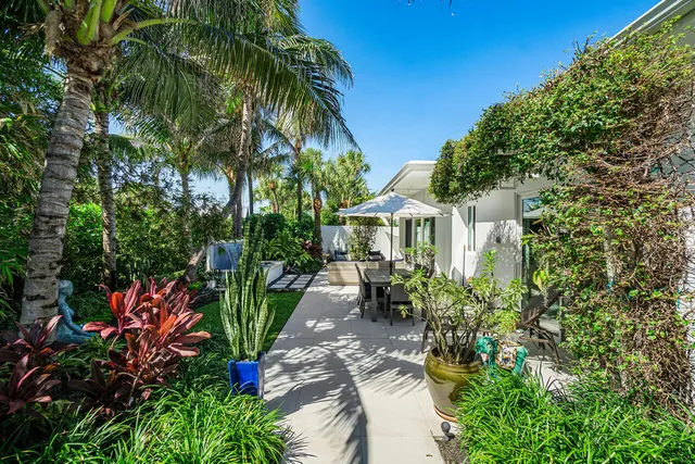a view of a backyard with plants and a patio