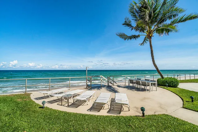 a view of a swimming pool with a lawn chairs and palm trees