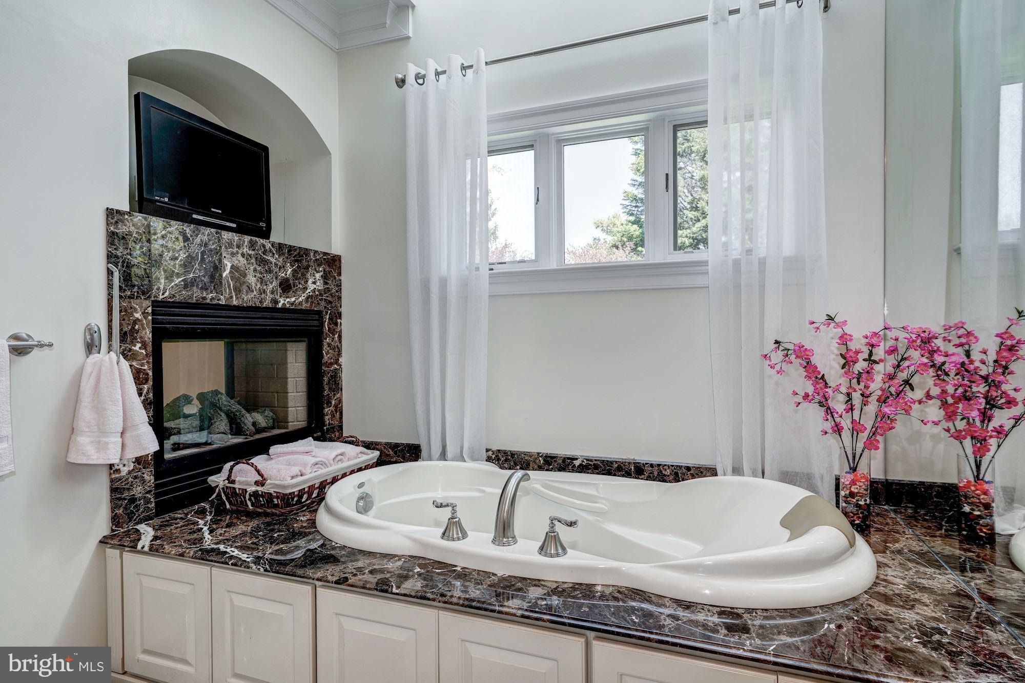 3809 Jones Bridge Road Chevy Chase, MD 20815 - Photo 40 of 70 a bathroom with a granite countertop sink a mirror and bathtub