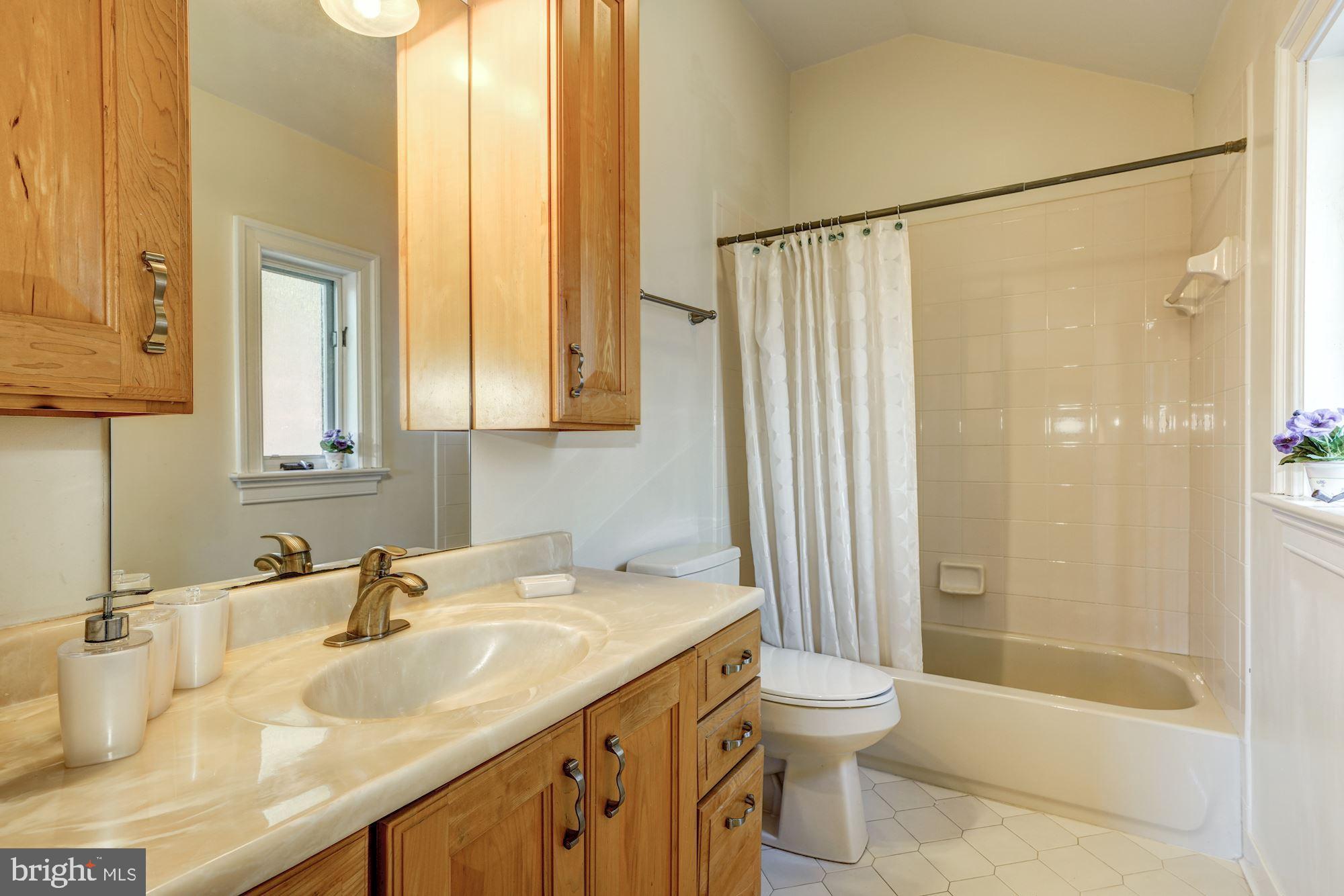 3809 Jones Bridge Road Chevy Chase, MD 20815 - Photo 46 of 70 a bathroom with a sink toilet and shower