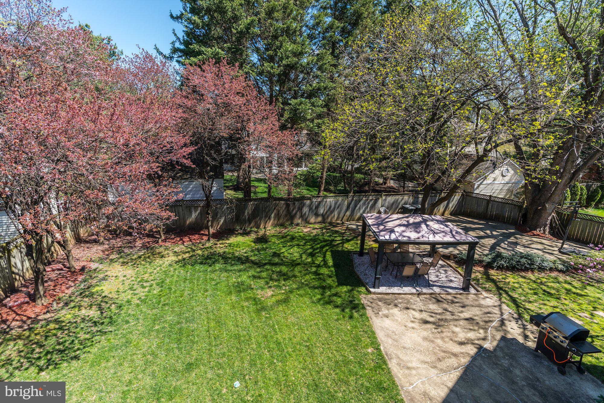 3809 Jones Bridge Road Chevy Chase, MD 20815 - Photo 53 of 70