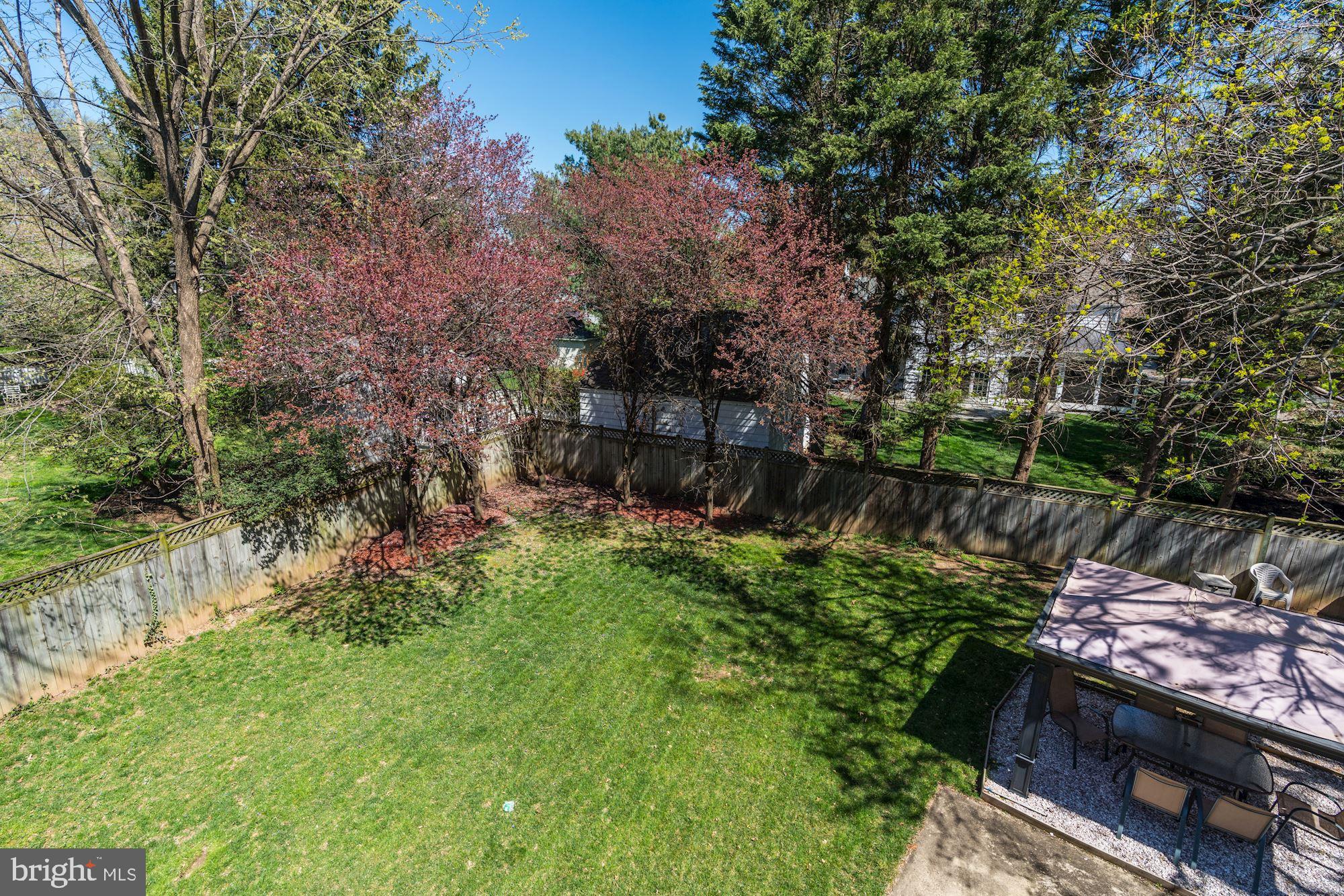 3809 Jones Bridge Road Chevy Chase, MD 20815 - Photo 54 of 70 a backyard of a house with lots of green space