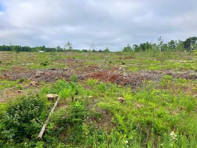 $110,000 | Lot 70 Vienna Road, Chesterville, ME 04938