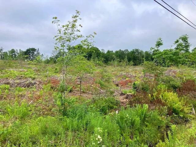 $110,000 | Lot 70 Vienna Road, Chesterville, ME 04938