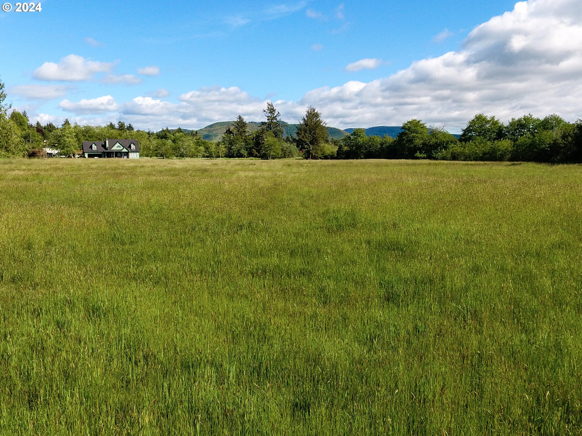 Logan Road Astoria, OR 97103 - Photo 13 of 14 a view of yard with ocean view