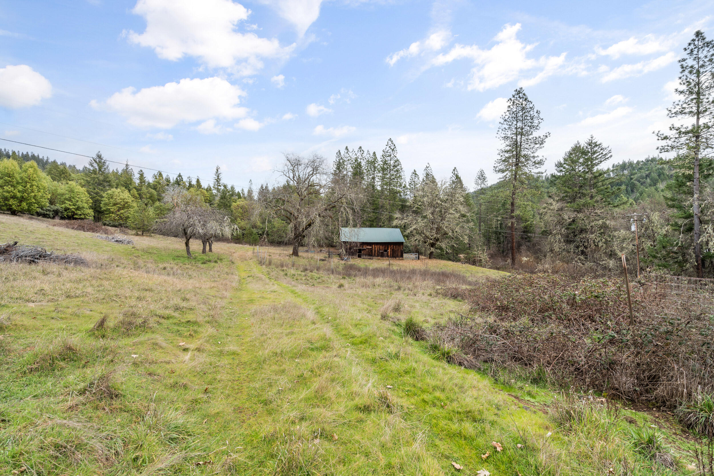 1698 Davis Creek Road Selma, OR 97538 - Photo 29 of 42 28