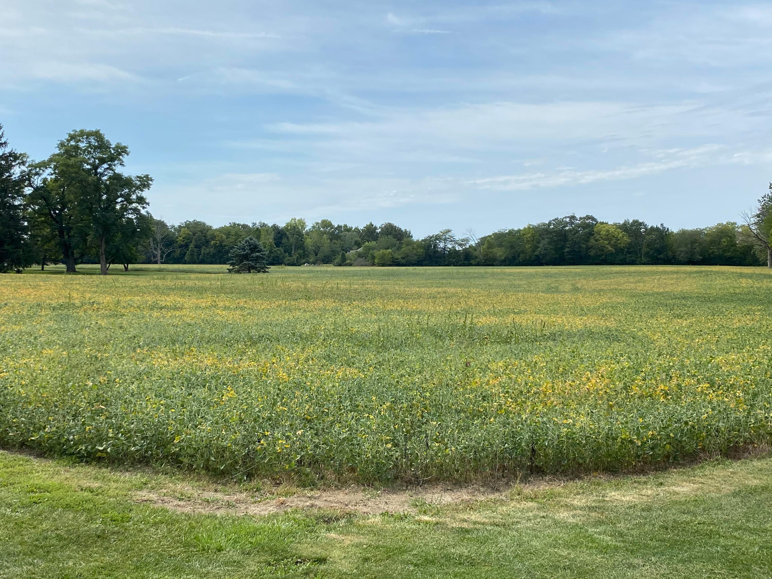 0 Plain City-Georgesville Road Southeast Galloway, OH 43119 - Photo 14 of 17