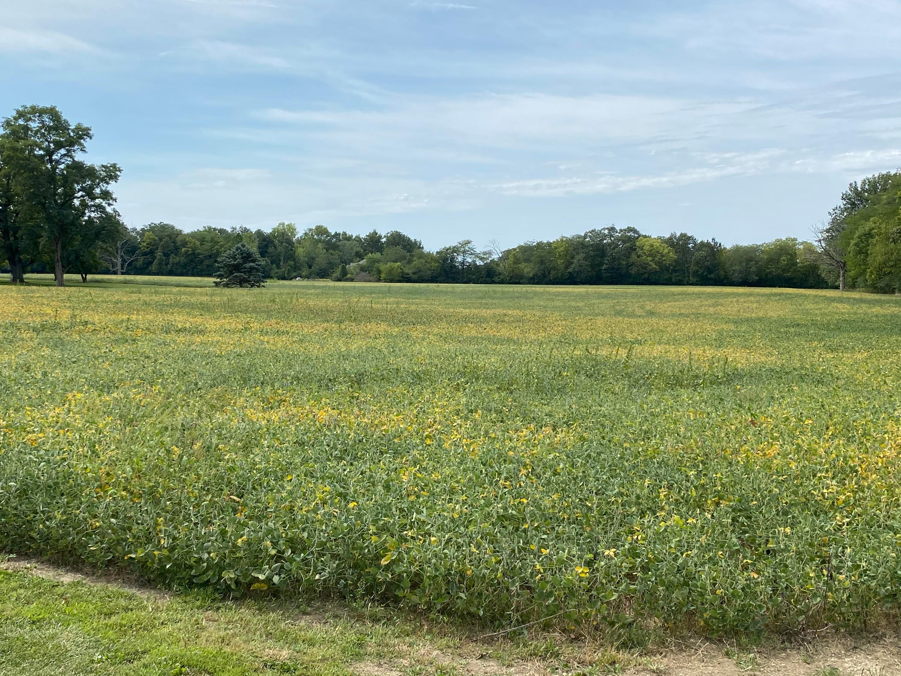 0 Plain City-Georgesville Road Southeast Galloway, OH 43119 - Photo 17 of 17