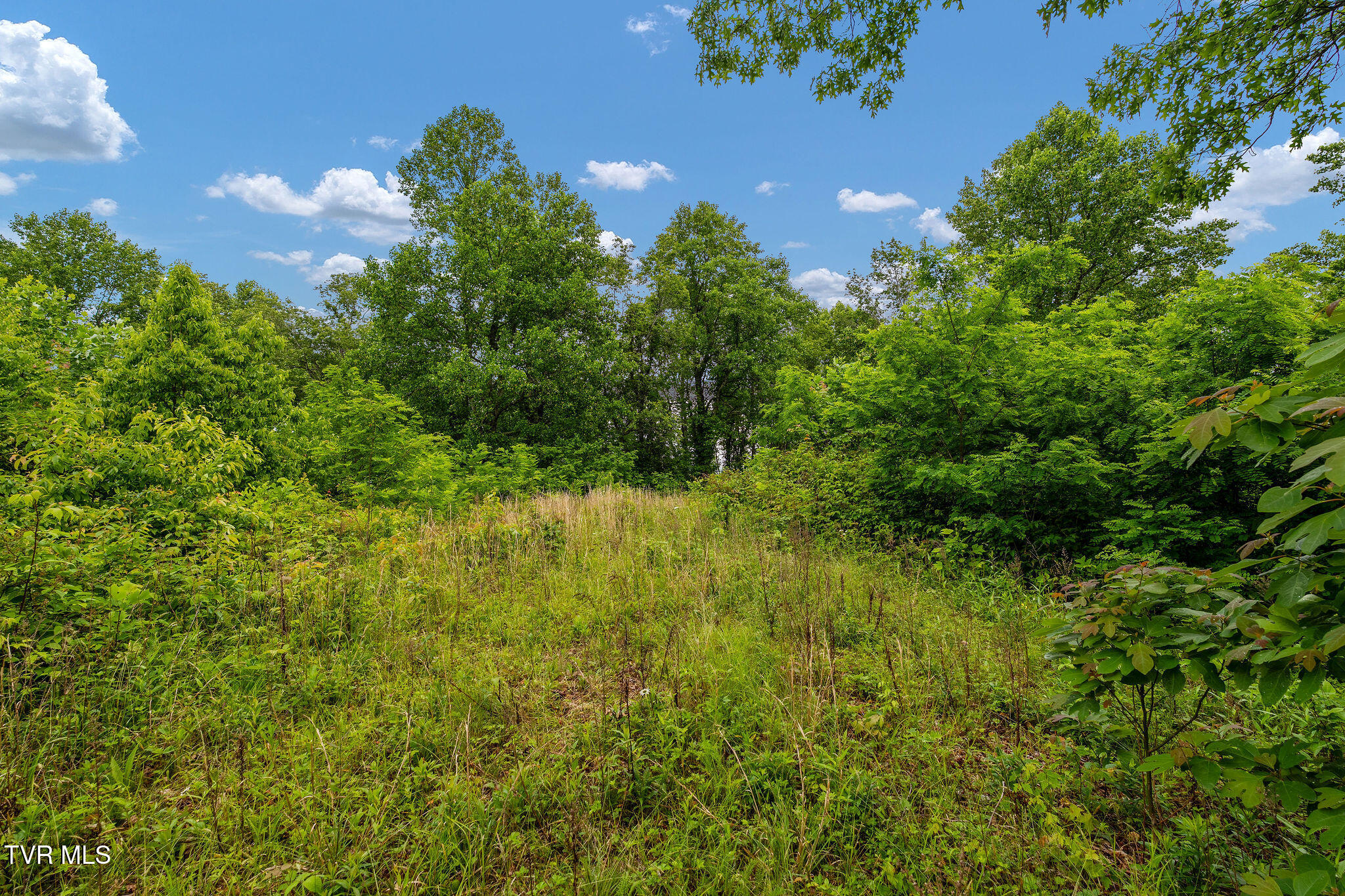 Tbd Walnut Mountain Road Butler, TN 37640 - Photo 21 of 36 DSC04458