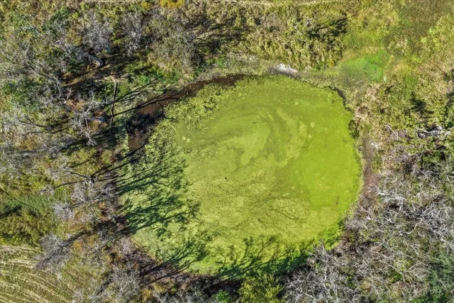 $1,125,000 | 740 Kinsey Road, Monticello, FL 32344