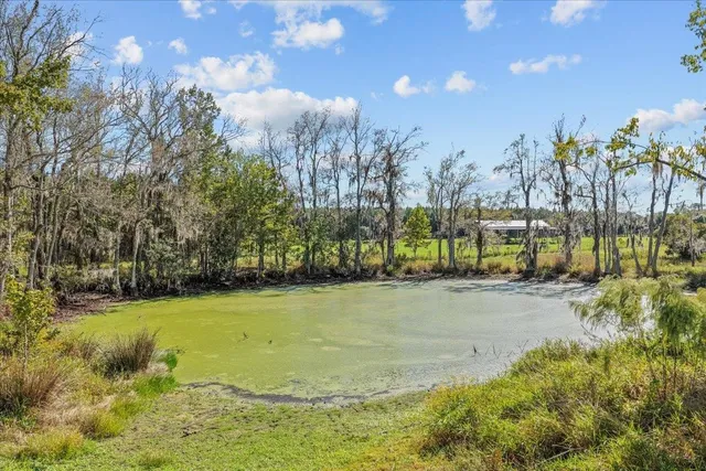 $1,125,000 | 740 Kinsey Road, Monticello, FL 32344