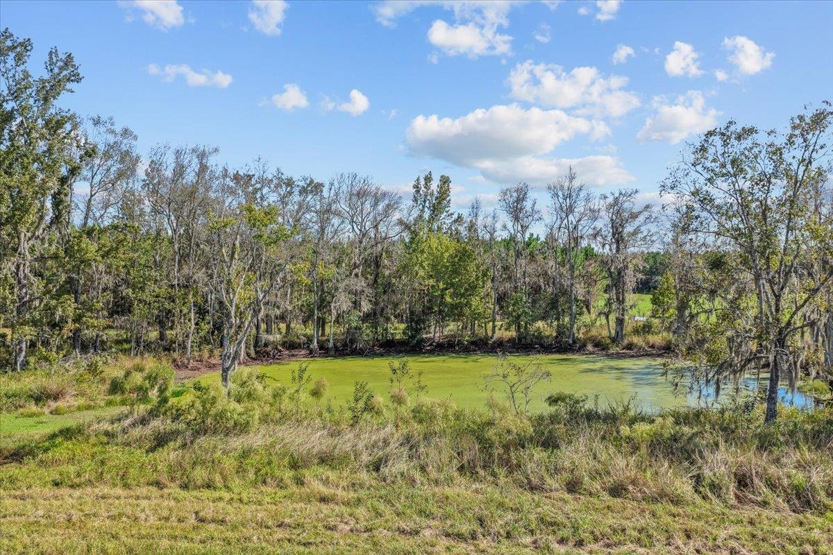 740 Kinsey Road Monticello, FL 32344 - Photo 13 of 66