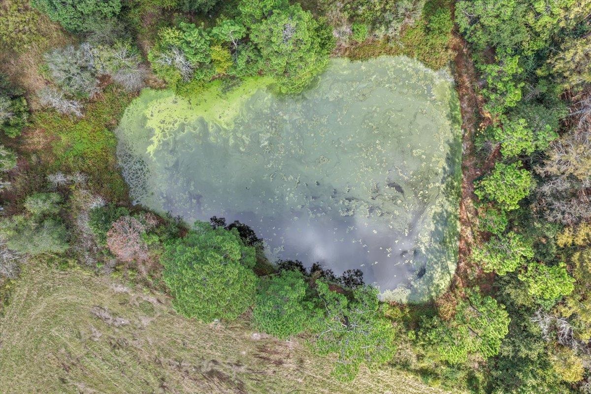 740 Kinsey Road Monticello, FL 32344 - Photo 14 of 66