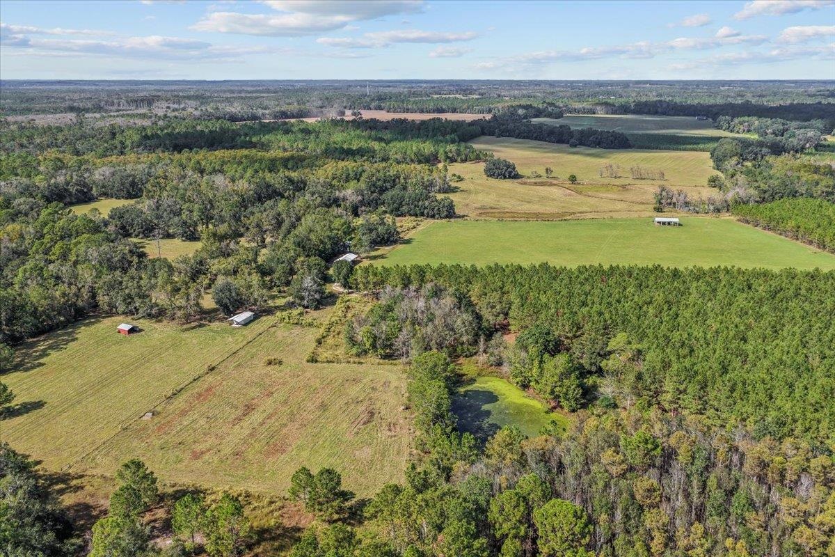 740 Kinsey Road Monticello, FL 32344 - Photo 15 of 66