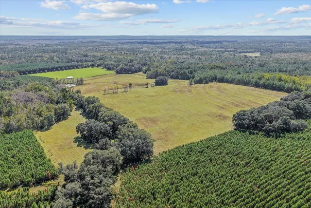 $1,125,000 | 740 Kinsey Road, Monticello, FL 32344