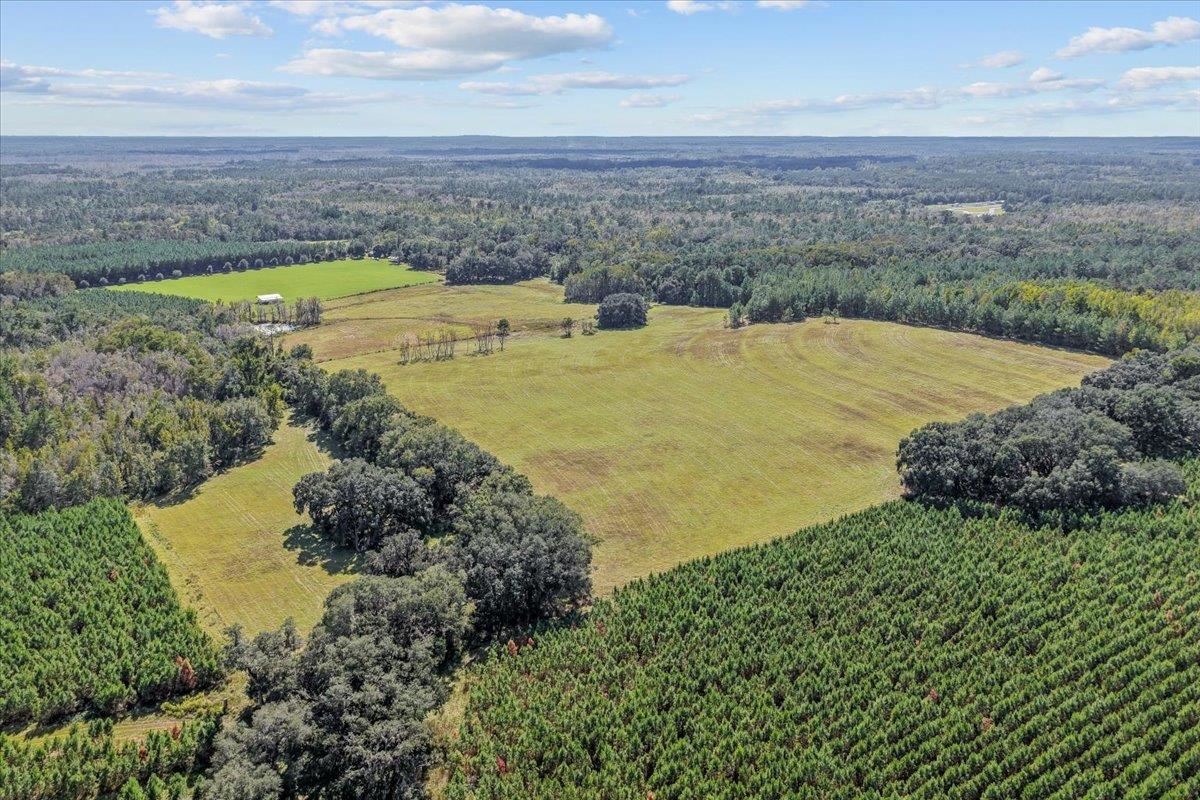 740 Kinsey Road Monticello, FL 32344 - Photo 16 of 66