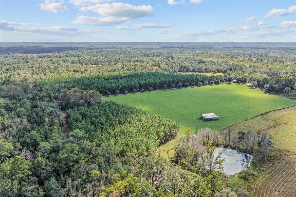 740 Kinsey Road Monticello, FL 32344 - Photo 18 of 66