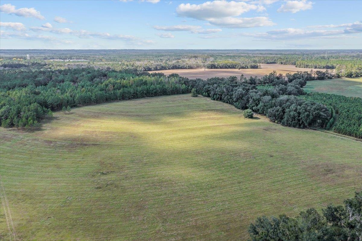 740 Kinsey Road Monticello, FL 32344 - Photo 19 of 66