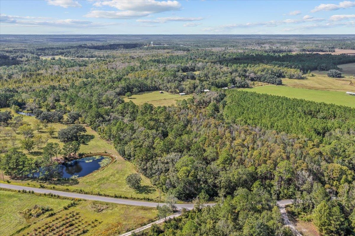 740 Kinsey Road Monticello, FL 32344 - Photo 20 of 66