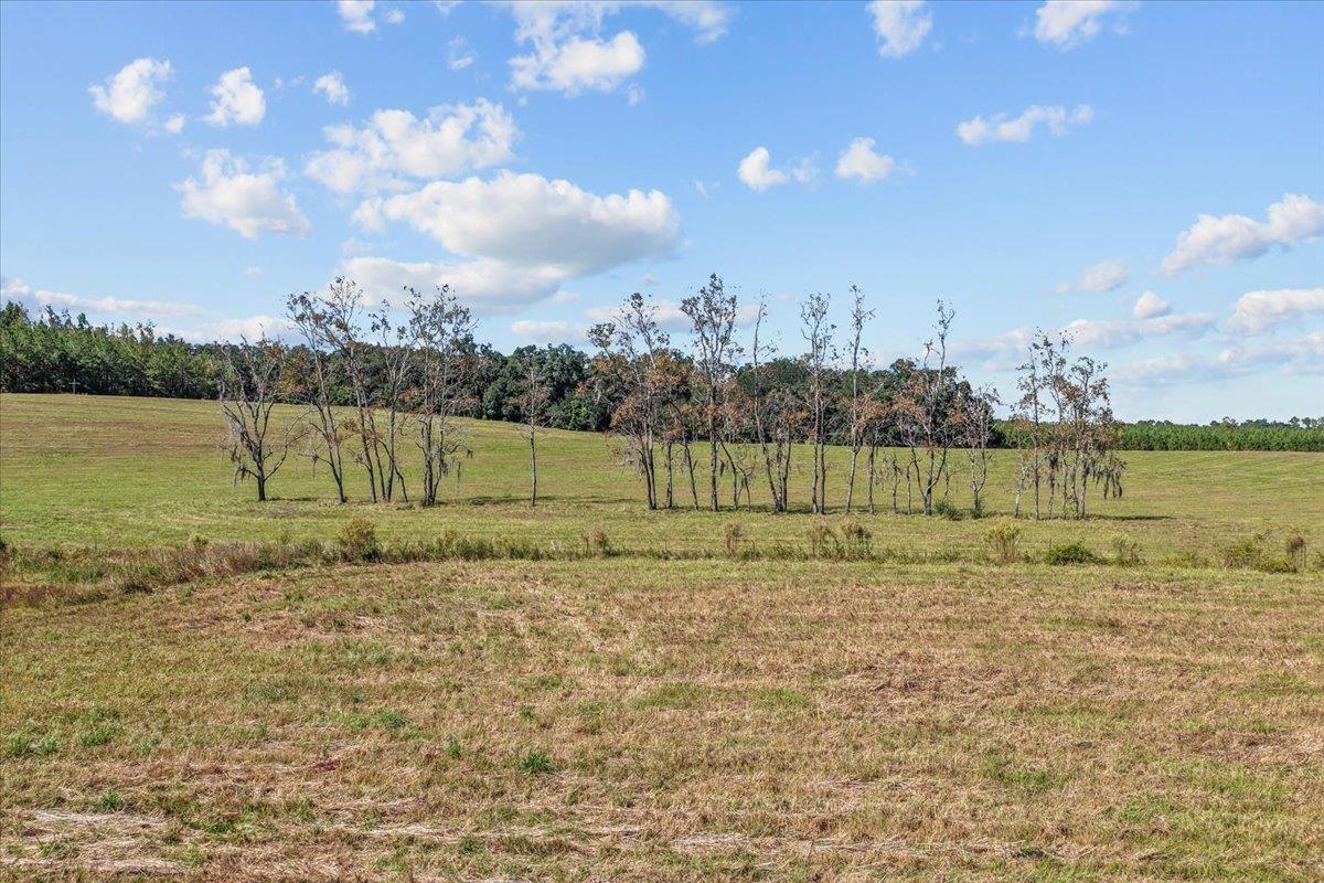 740 Kinsey Road Monticello, FL 32344 - Photo 63 of 66