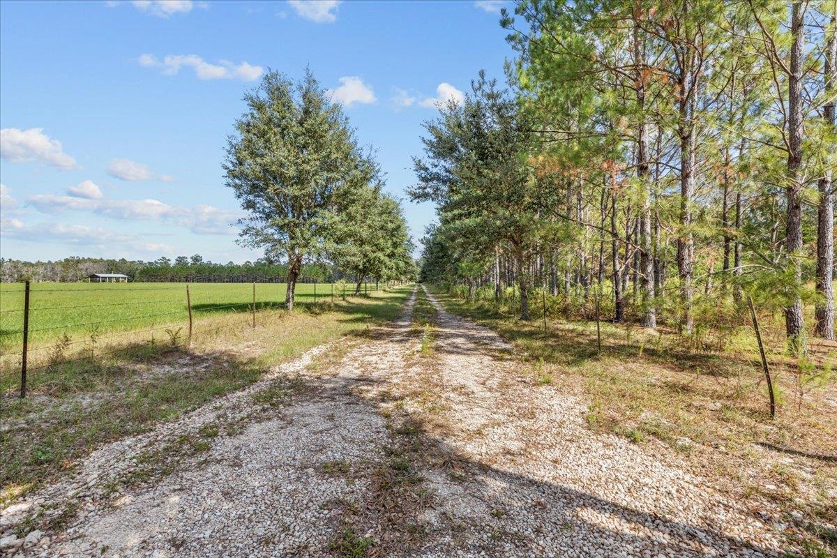 740 Kinsey Road Monticello, FL 32344 - Photo 8 of 66