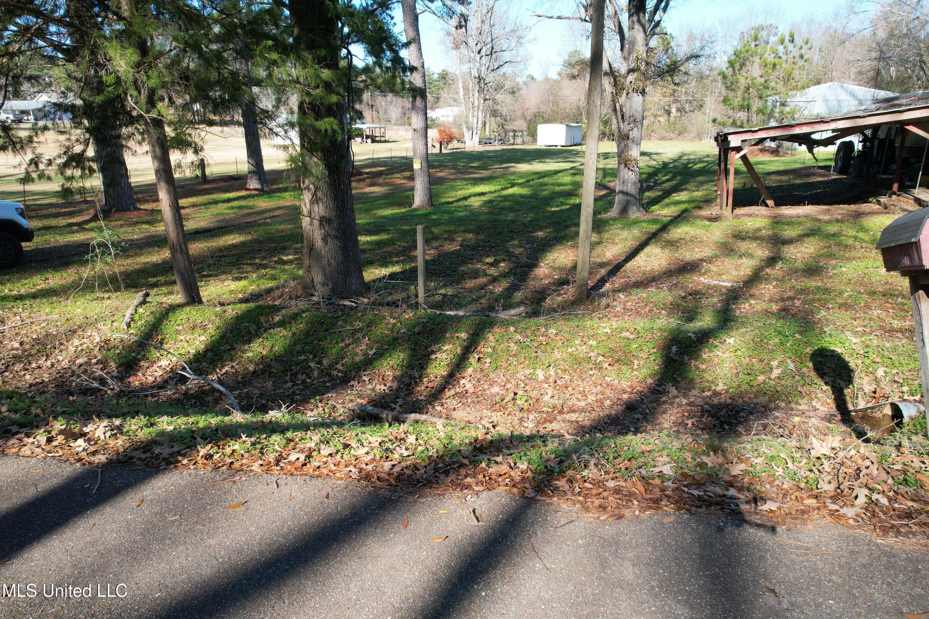 116 Marsman Road Brandon, MS 39047 - Photo 2 of 7 DJI_0984