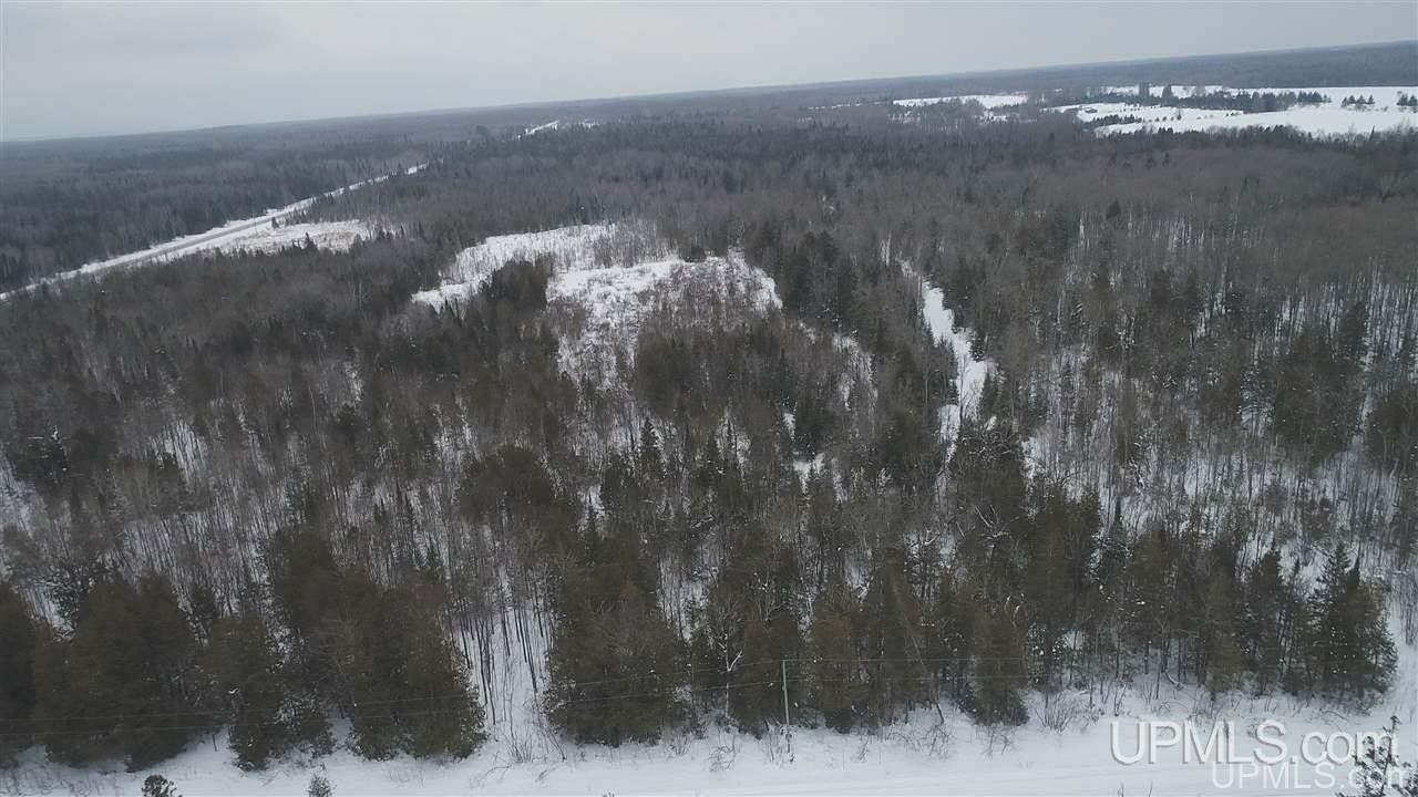 75-acres West Cold Springs Road Chatham, MI 49816 - Photo 39 of 42