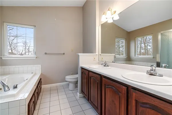 a bathroom with a double vanity sink a toilet and a bathtub