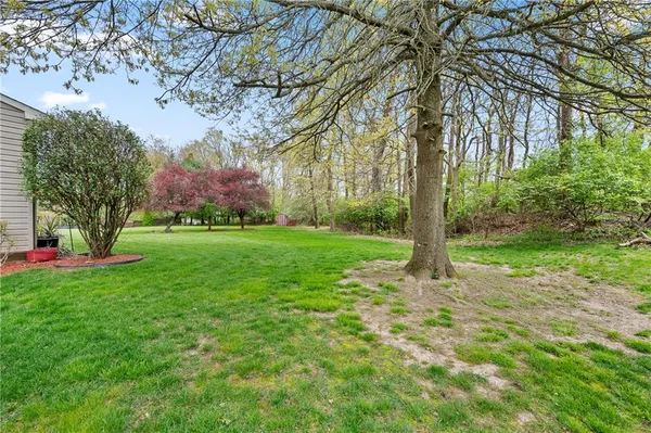 a view of a park with large trees