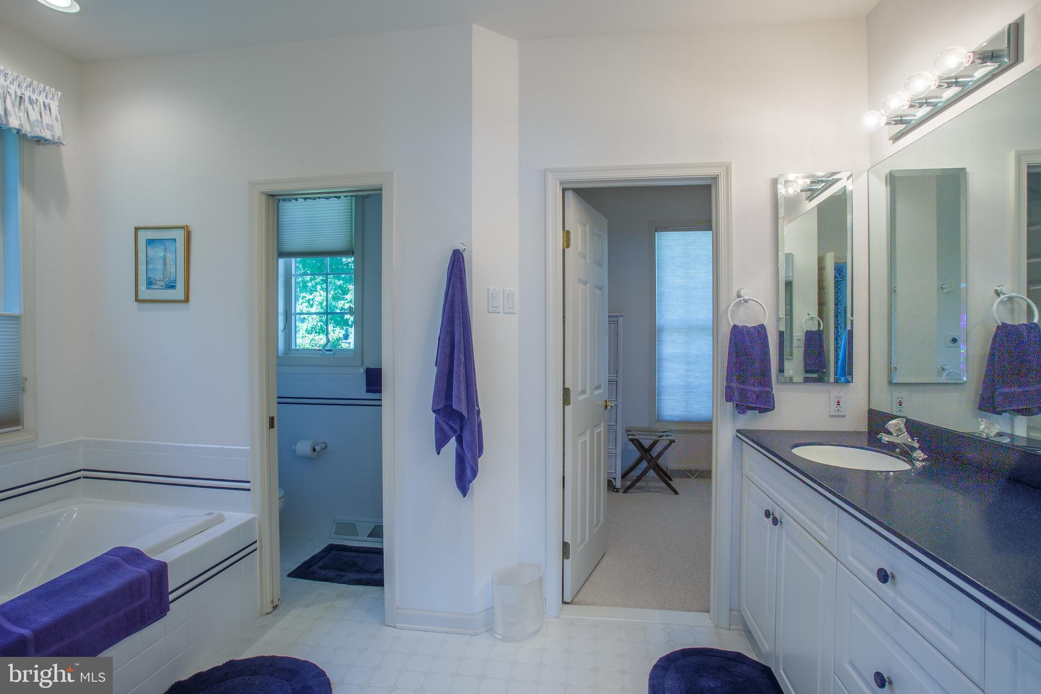 830 Knight Island Road Earleville, MD 21919 - Photo 25 of 46 Spacious master bath