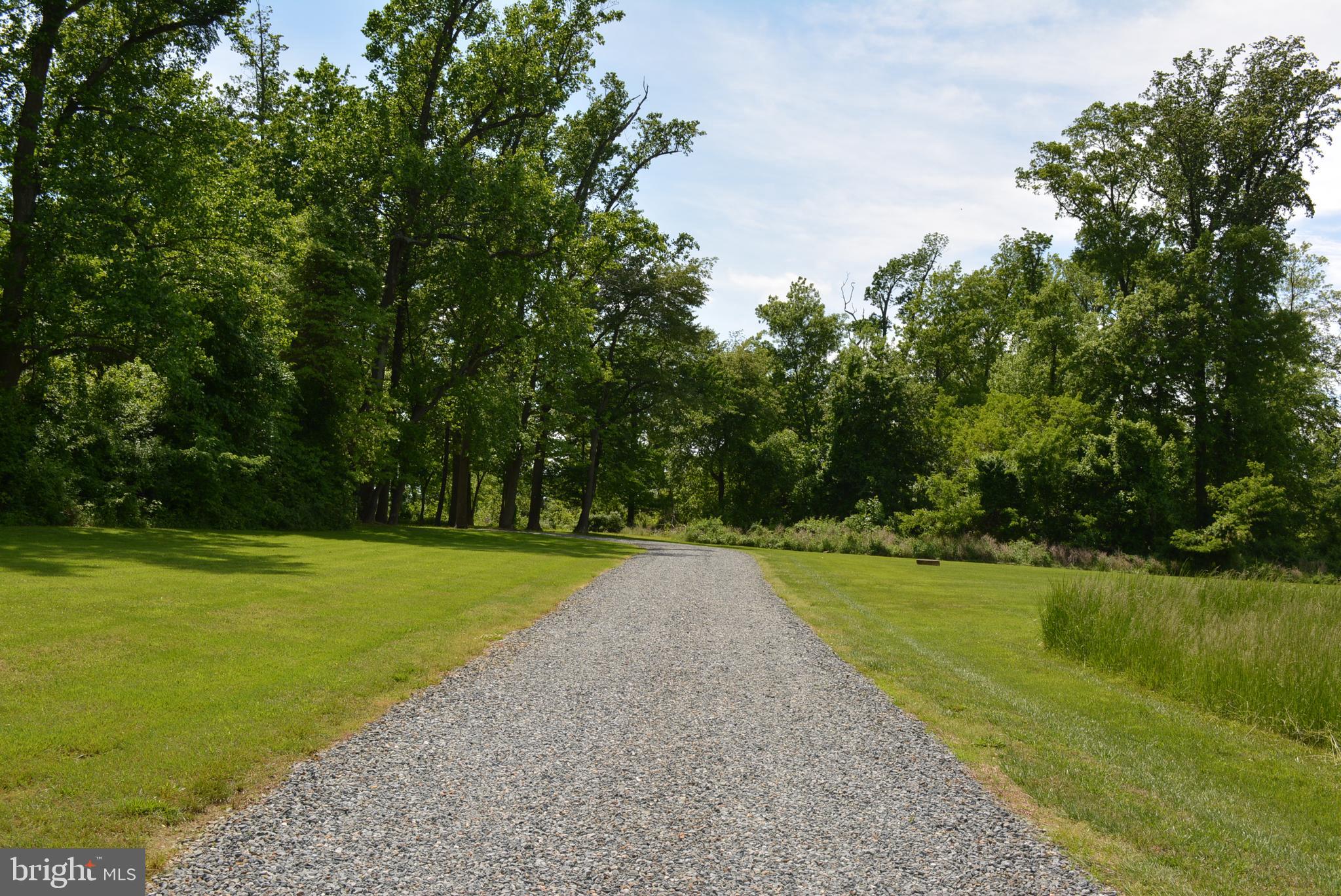 830 Knight Island Road Earleville, MD 21919 - Photo 39 of 46 Diveway to this lovely home