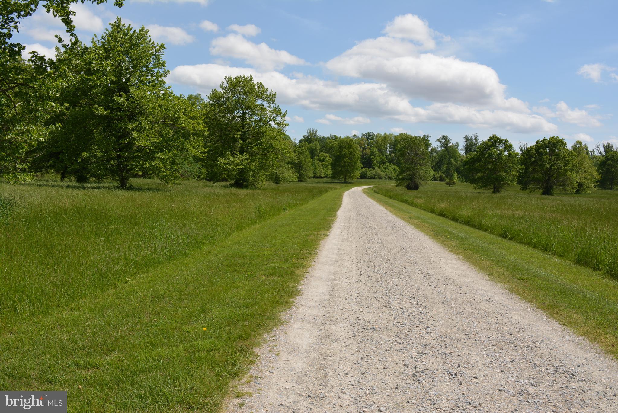 830 Knight Island Road Earleville, MD 21919 - Photo 41 of 46 Lane heading back to subject & 2 other lots