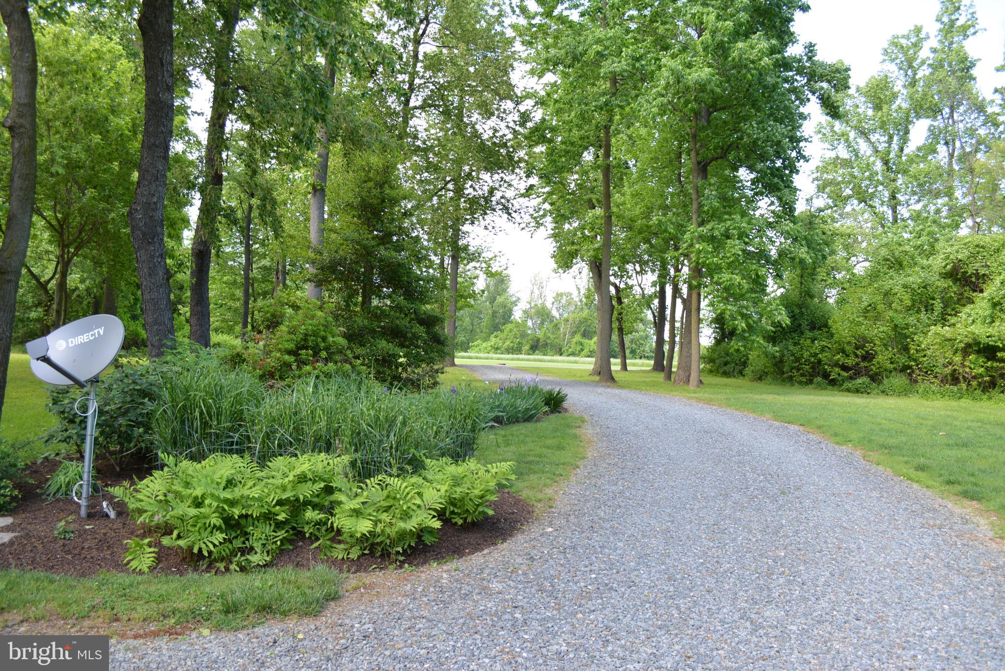 830 Knight Island Road Earleville, MD 21919 - Photo 45 of 46 Several garden areas.