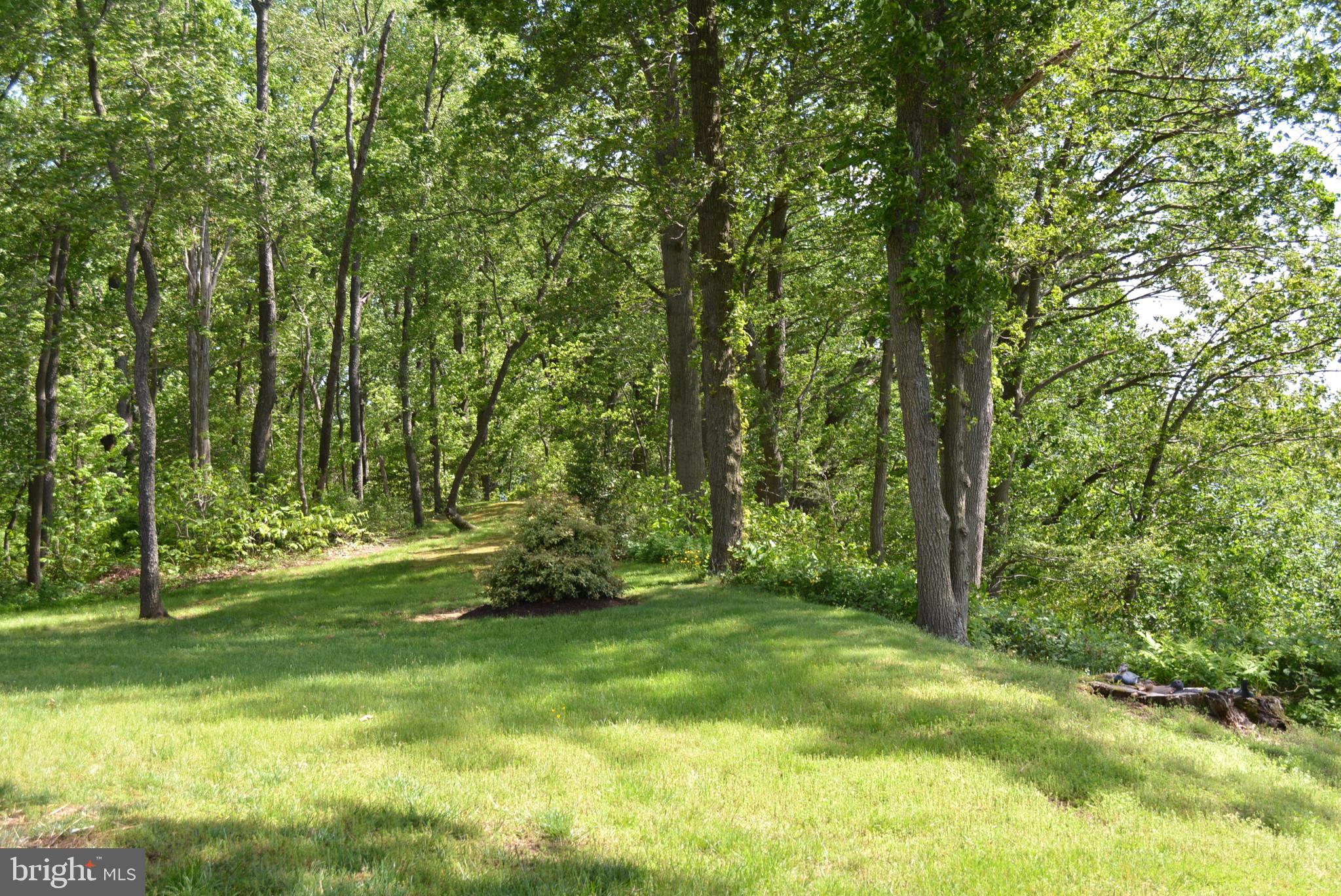 830 Knight Island Road Earleville, MD 21919 - Photo 46 of 46 Path to beach & dock