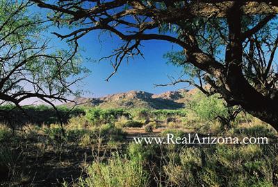 17 Poorwill Canyon Road Rio Rico, AZ 85648 - Photo 4 of 9