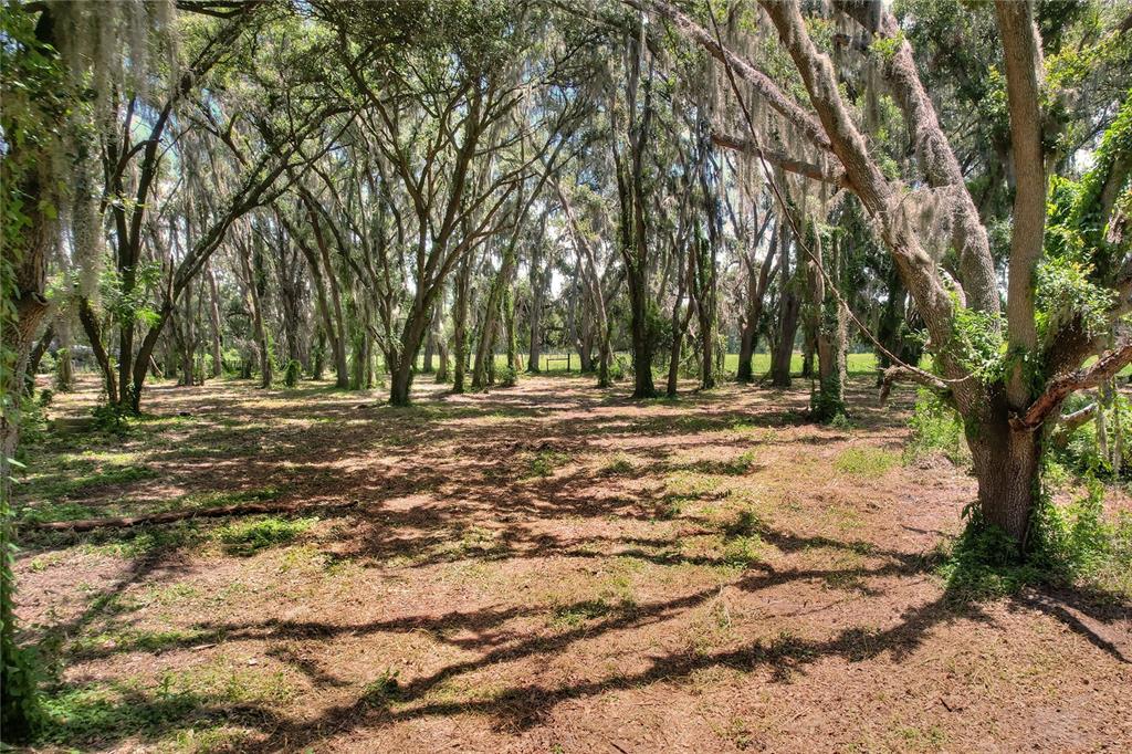 8825 Selph Road Lakeland, FL 33810 - Photo 68 of 71 Gallery Image 68