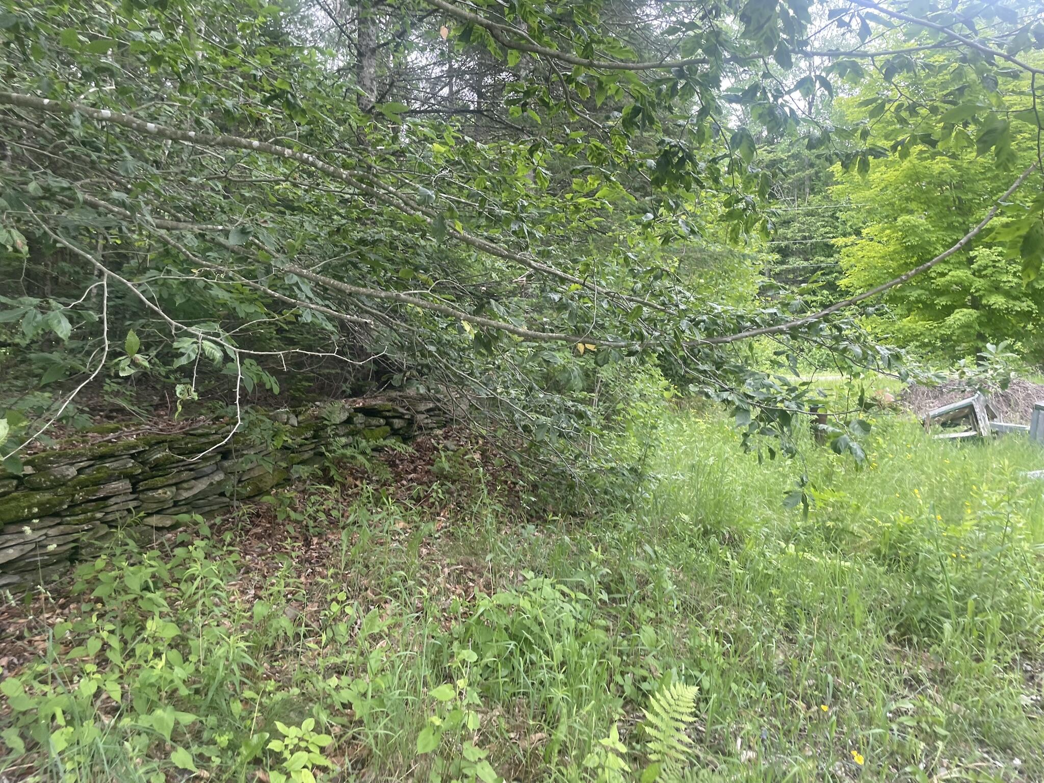 1075 Hill Road Clinton, ME 04927 - Photo 145 of 172 IMG_6243