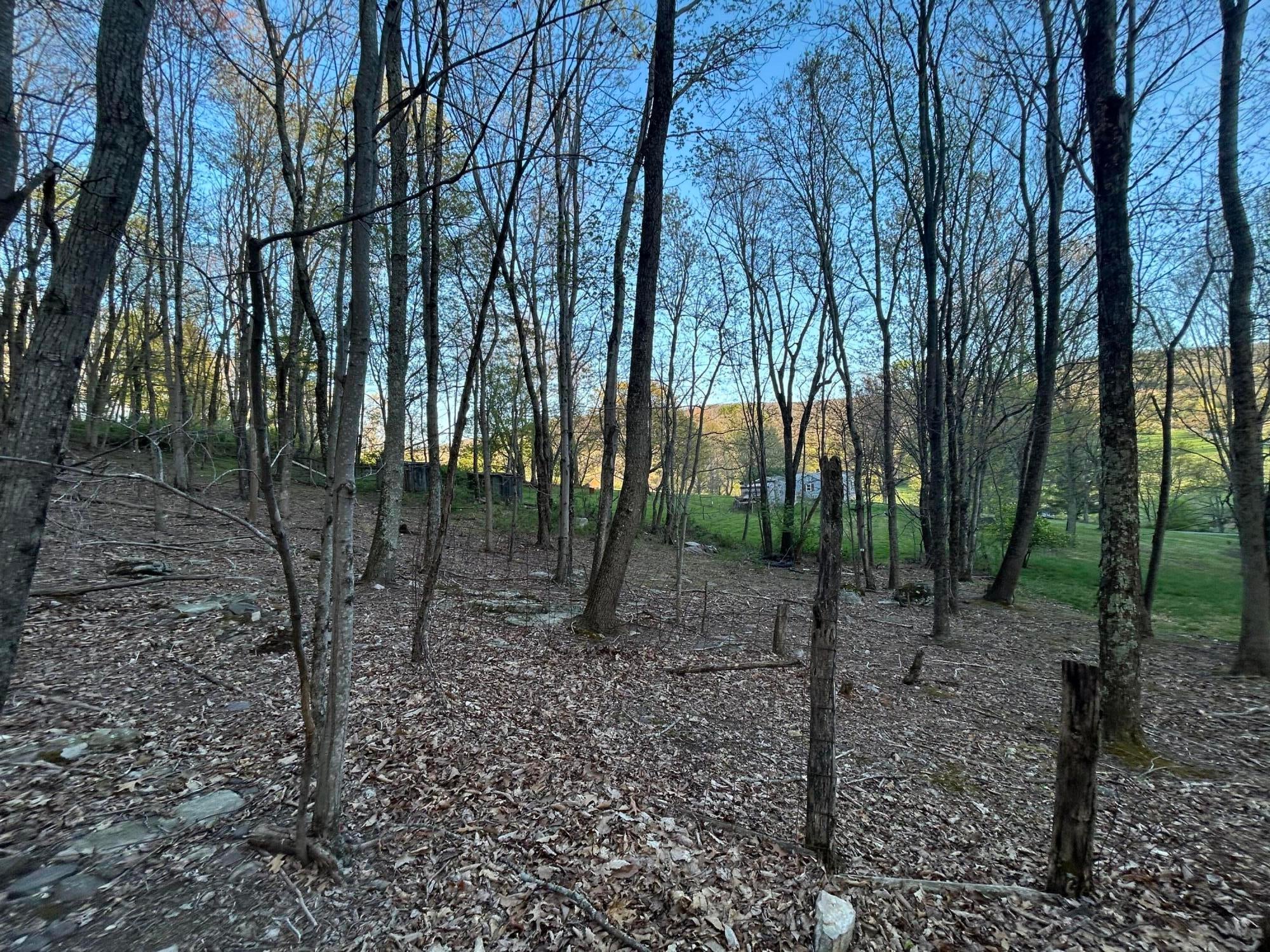 3358 Zenith Road Gap Mills, WV 24941 - Photo 69 of 72 Gallery Image 69