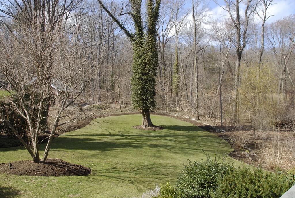 28 Windsor Road Wellesley, MA 02481 - Photo 18 of 18