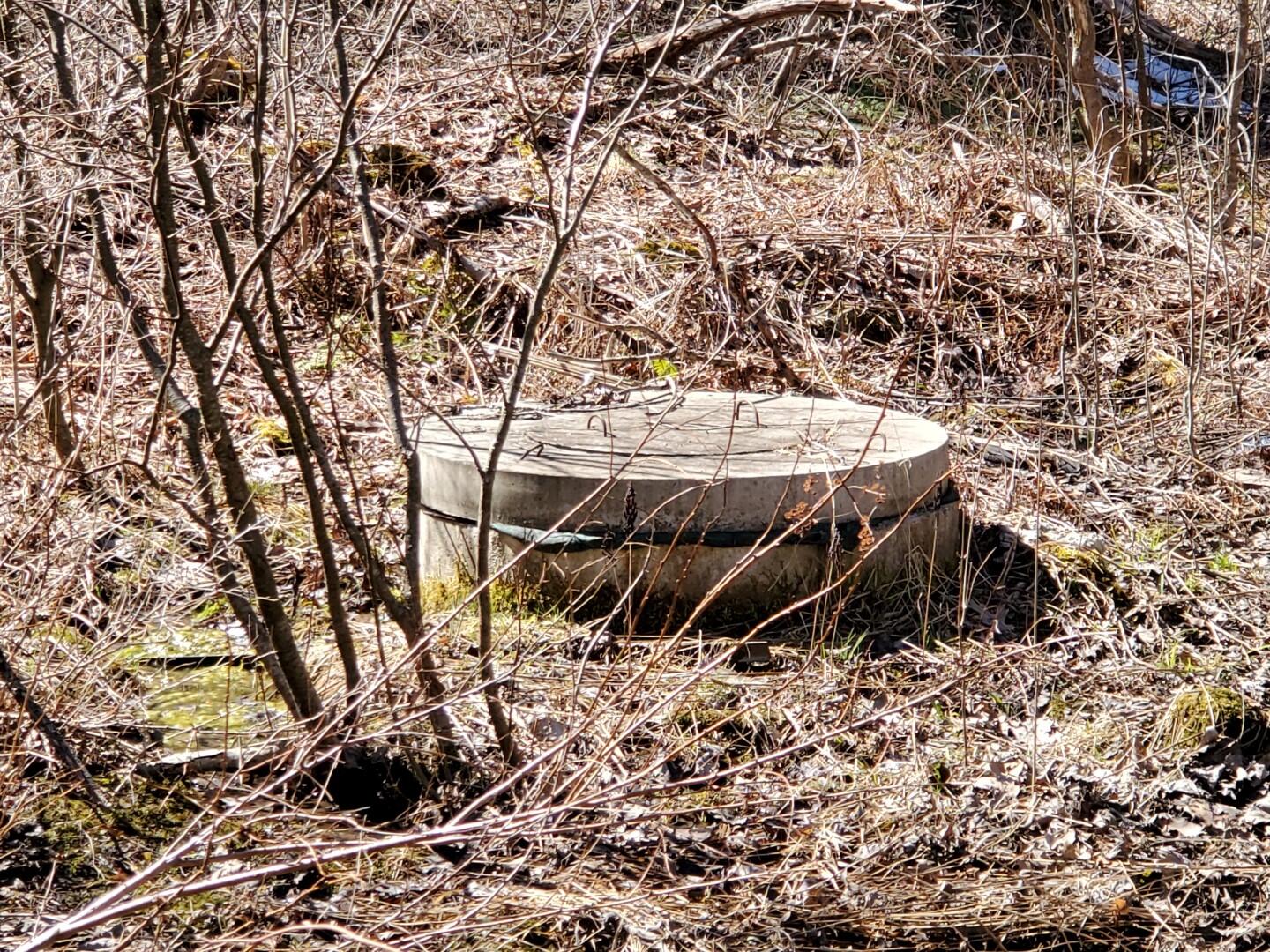 323 Goshen Road Winterport, ME 04496 - Photo 50 of 61 20240402_112023 (Large)