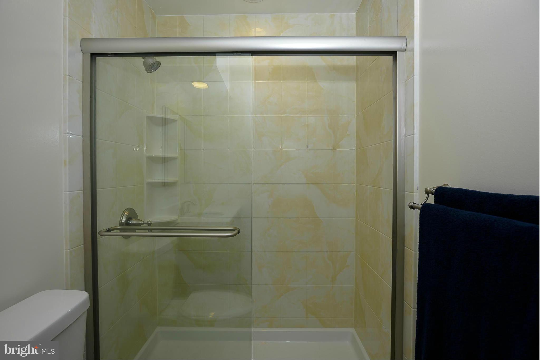301 Pytchley Run Annapolis, MD 21403 - Photo 19 of 30 Bath (Master)