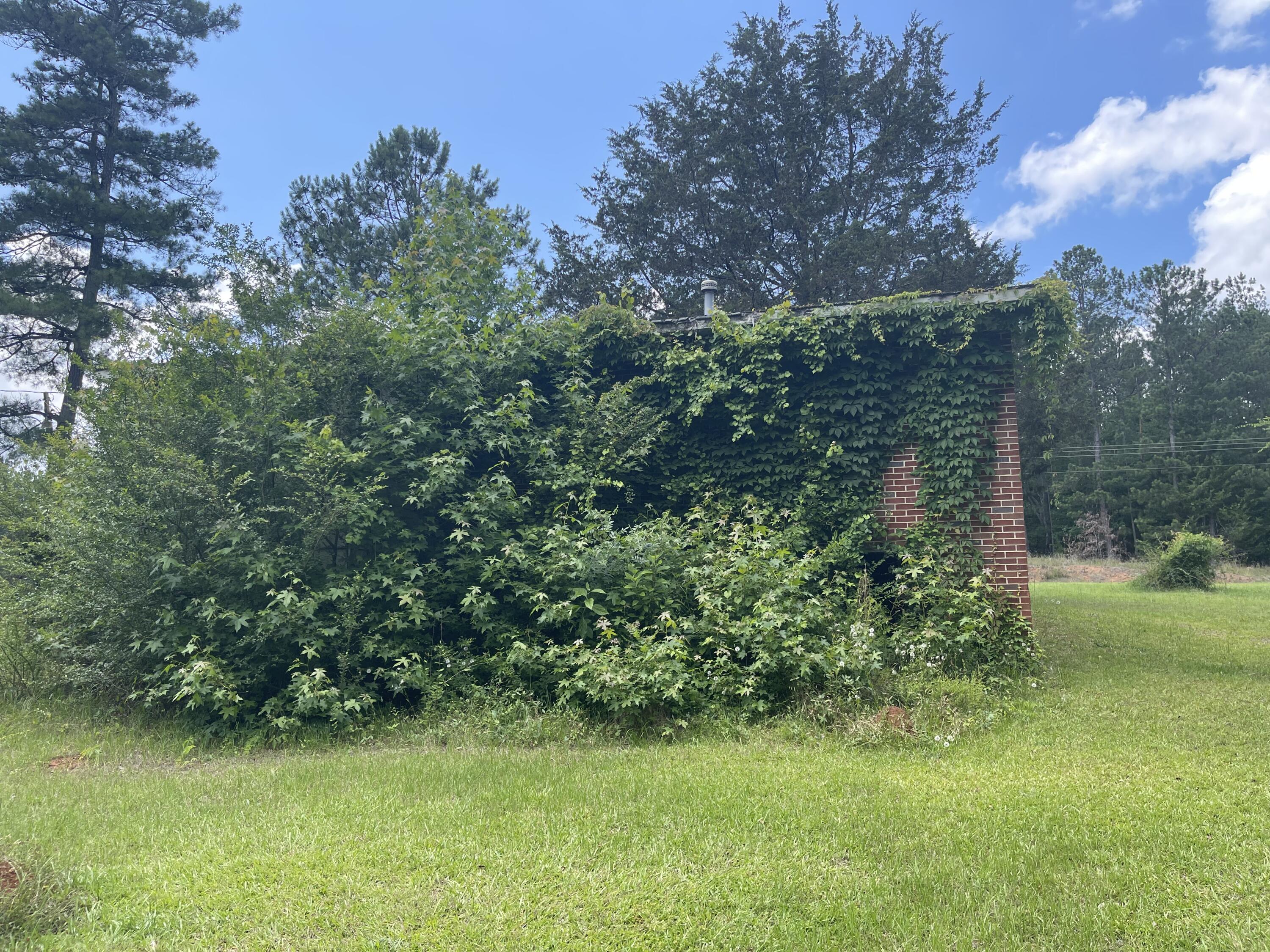 1382 Graball Road Tignall, GA 30668 - Photo 5 of 25 Rear of Home