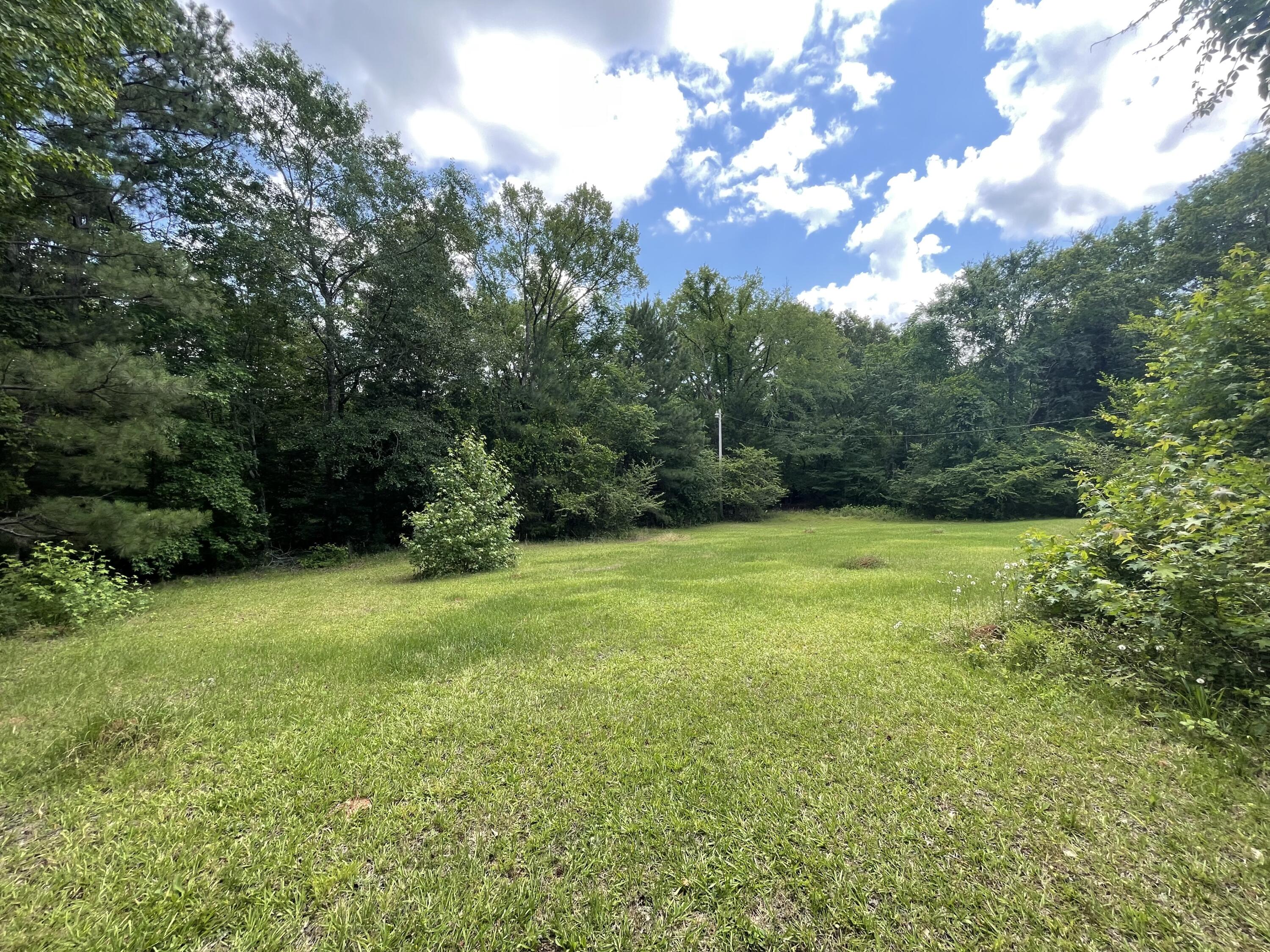 1382 Graball Road Tignall, GA 30668 - Photo 6 of 25 Backyard