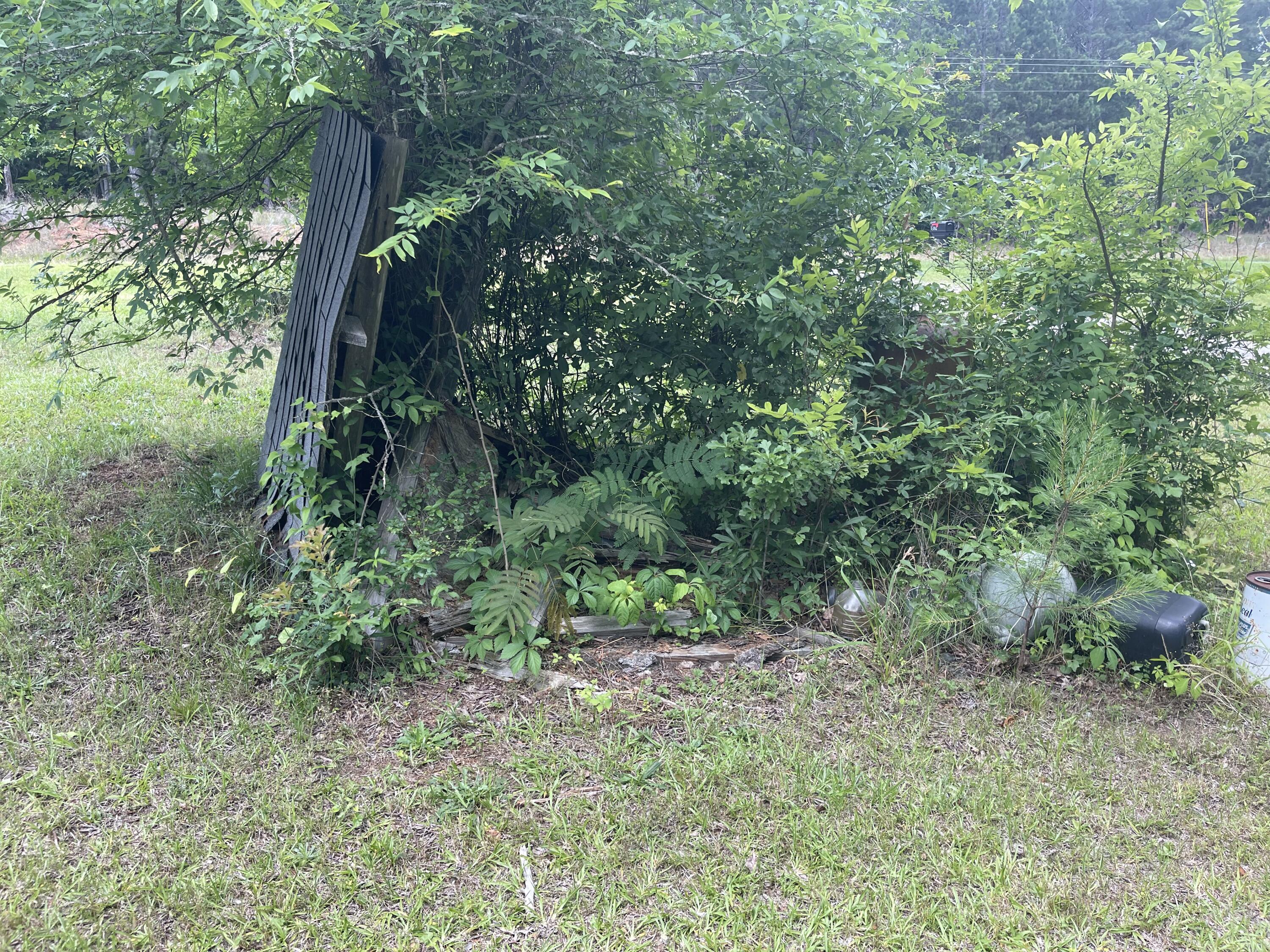 1382 Graball Road Tignall, GA 30668 - Photo 9 of 25 Well