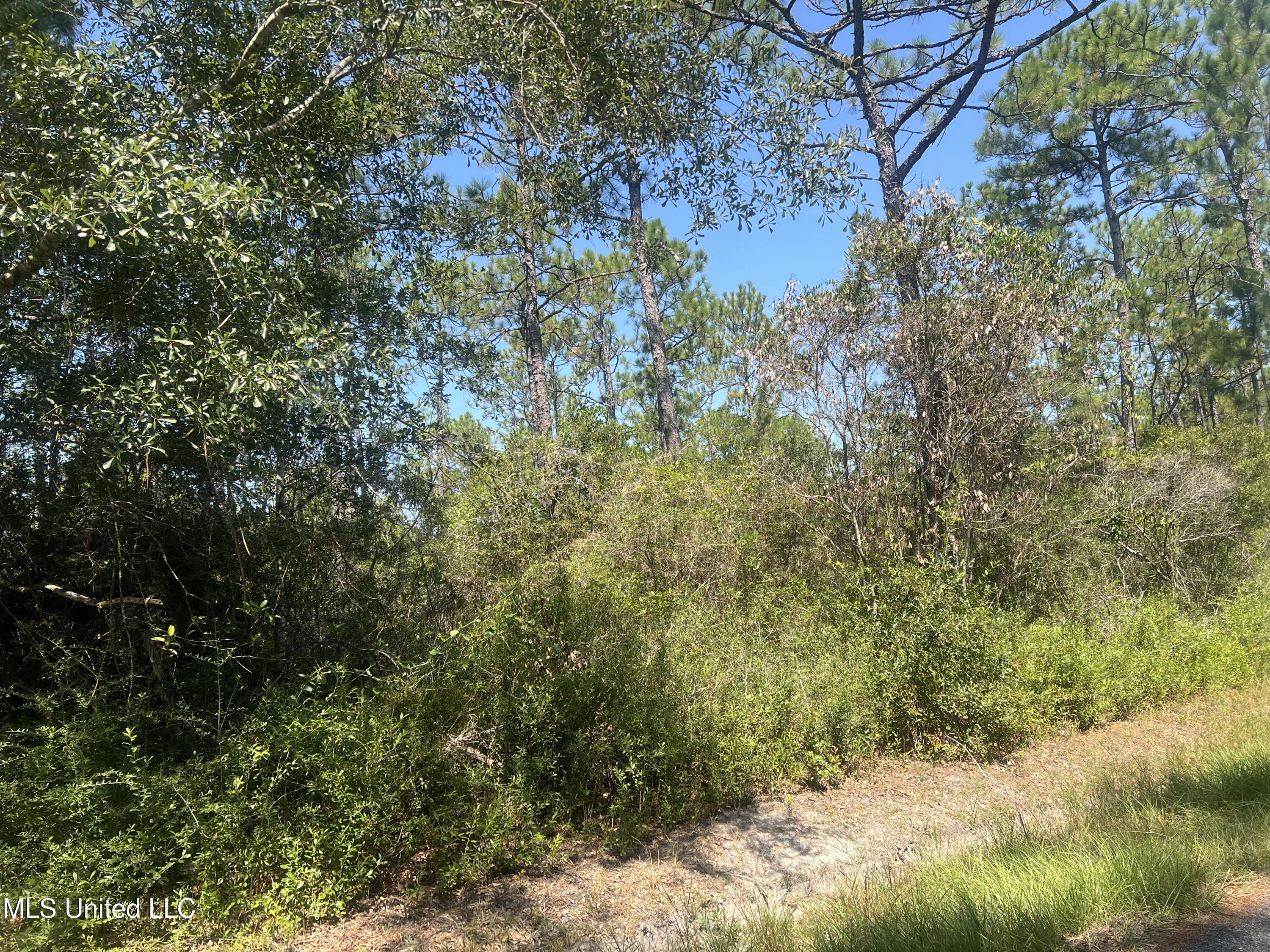 Leggett Road Long Beach, MS 39560 - Photo 2 of 2 IMG_1317